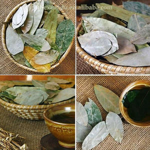 ชาใบซูซอปแห้ง ชาดำ 100% ออร์แกนิคธรรมชาติ ไม่มีน้ำตาล ชงด้วยน้ำเดือด 4-5 นาที อายุการเก็บรักษา 24 เดือน - Product Image 3