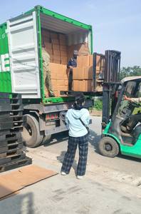 Especias de Vietnam de Calidad, Cañas de Canela, Suministro Directo de Fábrica - Product Image 5