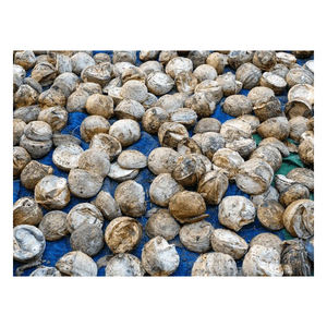 ผู้ส่งออกโดยตรง ยางก้อนคุณภาพสูง สำหรับปะยางรถยนต์และงานยางอุตสาหกรรม - Product Image 5