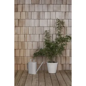 Regadera de Metal Premium para Suculentas, Bonsáis y Plantas de Interior, Proveedor OEM, Regadera de PP Hecha a Mano, Elegante, Moderna y de Lujo - Product Image 2