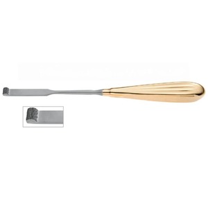 Raspador Webster Glabella de 21.5 cm, chapado en oro - Product Image 1