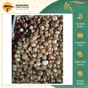 Fornitura Diretta dalla Fabbrica, Ottima Qualità per l'Esportazione, Noci di <span class=keywords><strong>Betel</strong></span> Sfilettate e Tagliate, Prezzo di Mercato Ragionevole, OEM Accettato - Product Image 5