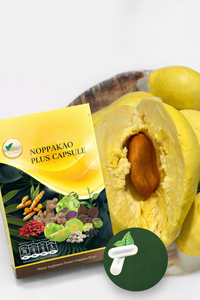 แคปซูลสารสกัดสมุนไพรเชบูลิค มิโรบาลาน ผลิตภัณฑ์เสริมอาหาร แบบฟรีซดราย เก็บเกี่ยวจากธรรมชาติ - Product Image 4