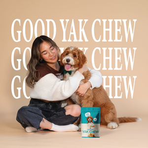 Snacks de Queso de Yak del Himalaya Orgánico Sin Azúcar, Tamaño Personalizado, Alta Proteína, Saludables para Perros, 8 Sabores, Salud Dental, ¡Gran Venta! - Product Image 5