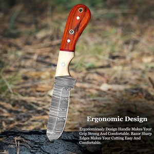 Cuchillo Bull Cutter de 8 Pulgadas, Hoja de Acero de Damasco con Punta Caída, Mango de Madera, Cuchillo para Camping, Caza, Pesca y Supervivencia al Aire Libre - Product Image 3