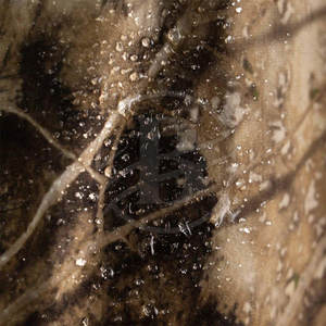 Chaqueta de Caza Invernal Cortavientos - Diseño Térmico para Clima Extremo, Transpirable y que Absorbe la Humedad, para Uso en Exteriores - Product Image 6