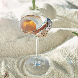 Copa de vino con forma de concha marina a precio económico para decoración náutica de bar, vasos para bebidas con diseño de conchas marinas, hechos en Vietnam. - Product Image 6