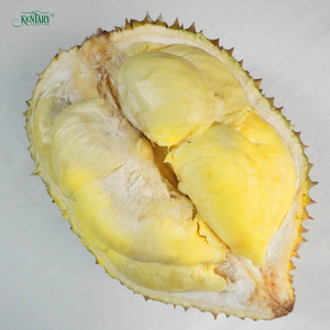 ทุเรียนรสหวาน คุณภาพพรีเมียม สำหรับส่งออก ผลไม้สีเหลืองธรรมชาติ 100% ผลไม้เพื่อสุขภาพ ทุเรียนสดจากเวียดนาม ขายส่ง - Product Image 1