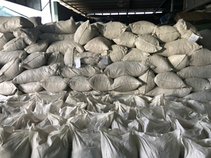 มอสทะเลแห้งคุณภาพสูงจากเวียดนาม-Eucheuma cottoni/ มอสทะเลไอริช - Product Image 4