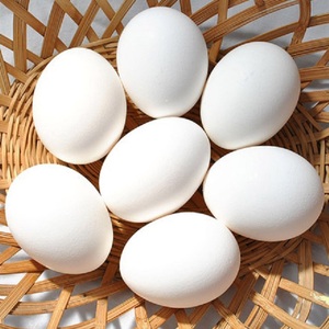 Huevos de Gallina de Alta Calidad, Frescos y Naturales, Precio al por Mayor, Productos Animales - Product Image 3