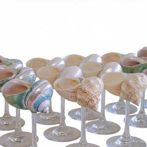 Perles en verre de coquillages naturels de qualité supérieure, vente en gros, perles décoratives en coquillages pour bijoux faits à la main, artisanat DIY, accessoires de mode - Product Image 1