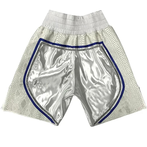 Shorts de Muay Thai en satin argenté de qualité supérieure avec empiècements en peau de serpent - Trunks de boxe professionnels - Équipement MMA à taille haute élastique - Product Image 1