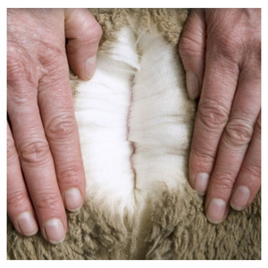 Factory wholesale Customized Thick and warm sheep <b>Wool</b> - Product Image 1