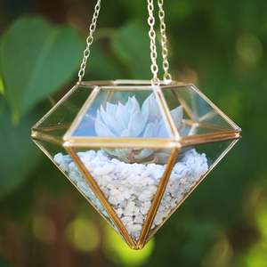 Terrario Colgante de Cristal en Forma de Diamante, Dorado, Pequeño, para Plantas Aéreas, Suculentas, Musgo, Maceta, Decoración Artística DIY - Product Image 1