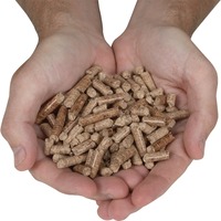 Granulés de bois de qualité export pour combustible biomasse premium, briquettes écologiques à combustion propre, source d'énergie pour acheteurs en gros