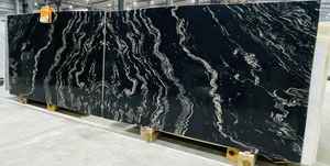 Dalles de granit poli noir de la Forêt-Noire de qualité supérieure pour revêtements de sol, écologiques et durables pour villas, usage commercial/résidentiel - Product Image 3