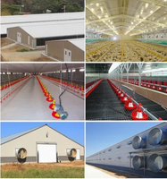 Structure en acier préfabriquée QCF199, cadre métallique en acier galvanisé, équipement agricole, hangar d'alimentation pour vaches, poulailler, enclos à poulets
