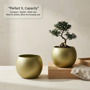 Maceta Redonda de Metal Dorado Mate, Duradera, Ligera, Ecológica, Decoración para Interiores del Hogar, Estilo Rústico, Tamaño Personalizado - Product Image 6