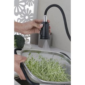 Rubinetto da Cucina Estraibile con Spruzzatore - Product Image 2