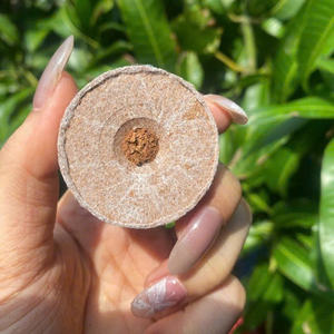 Venta caliente Coco Peat Pellets Green Future Vietnam's Bloque de alta calidad Cocopeat Pellet para plantar/Coco Coir Green Future Vietnam - Product Image 6