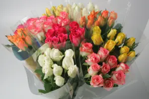 新鮮な新しい花ケニアの新鮮なカットの花エースピンクローズラージヘッド50cmステム卸売小売新鮮なカットローズ