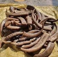 ปลายเขาควายธรรมชาติแบบดิบจาก ILAHI ดีไซน์ร่วมสมัยแนวเรียบง่ายแบบชนบทสัมผัสเสมือนจริงจากแคว้นอุตตรประเทศสำหรับเทศกาลตรุษจีนและคริสต์มาส - Product Image 1