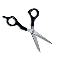 Ciseaux à cheveux droits de 5,25 pouces, ensemble de ciseaux de beauté en acier inoxydable VG10, lame polie miroir, pointe acérée, ergonomique pour droitiers, en plastique