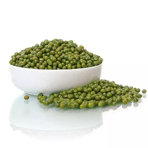 Organic Green Mung <b>Beans</b> packed in 25 kg bags - Product Image 6