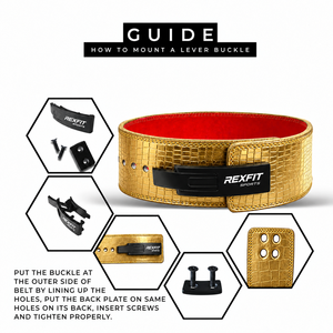 Cinturón de Levantamiento de Pesas para Gimnasio, para Proveedores de Equipos de Powerlifting, OEM, ODM, Venta al por Mayor, Marca Personalizada para Compradores Internacionales - Product Image 3
