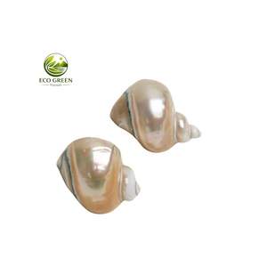 Anillos para Servilletas de Concha de Nácar Iridiscente Natural, Elegantes Porta Servilletas de Concha Marina para Decoración de Mesa de Verano Estilo Casa de Playa - Product Image 3