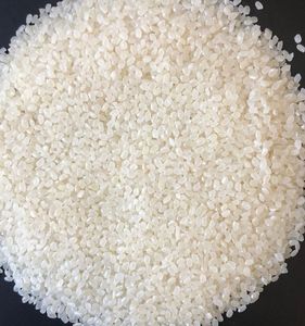 Arroz Japonés Koshihikari/Japonica para Sushi, Grano Redondo, 5% de Grano Partido, Alta Calidad, Sra. Emily - Product Image 2