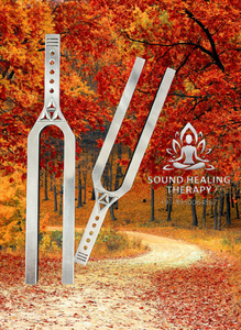 Big Size Giant Tuning Fork With Dna Key <b>Elevate</b> sound healing Tuning Forks Free Shipping... - Product Image 3