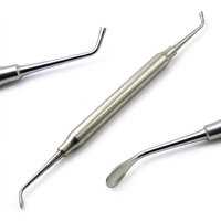 Cuillère à os dentaire pour greffe, 4 mm, en acier inoxydable, instrument chirurgical pour greffe d'os, kit d'implantologie parodontale