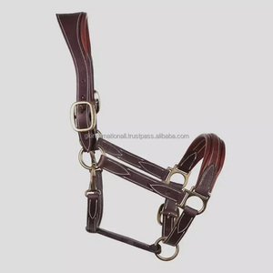 Licou de cheval en cuir rembourré robuste sur mesure de haute qualité avec coutures fantaisie et matériel en laiton réglable solide - Product Image 4