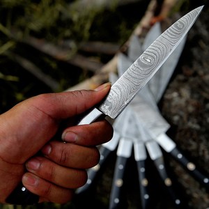 Ensemble de couteaux de chef en acier Damas, 6 pièces, lames à 67 couches, manche en corne ambidextre, fabrication artisanale, couteaux de cuisine professionnels OEM - Product Image 3