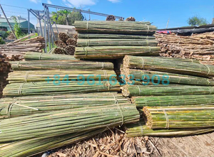 Varas de Bambú Natural para Jardinería y Agricultura – Resistentes, Ecológicas y con Longitud Personalizada de hasta 5 m - Product Image 2