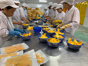 Fruits séchés 100% Mangue naturelle Mangue molle séchée de 99 Gold Data Vietnam Haute qualité Prêt à expédier - Product Image 5