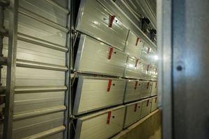 Jaula tipo H para avicultura, jaula para pollos - Product Image 5