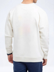 Sweat-shirt en molleton à manches longues pour homme, fabriqué par un fabricant professionnel, 100% coton, écologique, respirant, col rond, coupe classique, hiver - Product Image 2