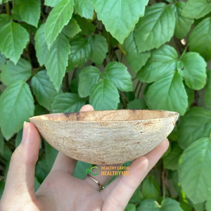 Natural Coconut Shell Bowl for Ice Cream & Dessert Eco-Friendly Handmade Modern Design Lightweight Durable Wholesale - Product Image 3
