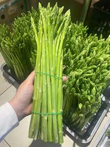 Asperges frais de qualité supérieure – Prix de gros compétitif - Product Image 1
