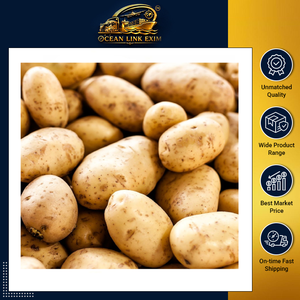 <b>Fresh</b> Potatoes Farm Grown Premium Quality Natural Export Grade Ocean Link Exim <b>Vegetable</b> for Cooking Daily Kitchen Food Use - Product Image 2