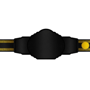 Ceintures de championnat en cuir léger de haute qualité - Logo et design personnalisés - Vente en gros - Product Image 2