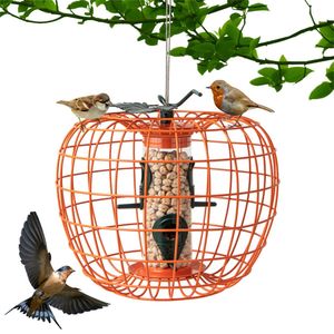 Mangeoire à oiseaux anti-écureuils pour jardin avec cage et 4 ports métalliques – Niche attrayante pour oiseaux pour jardin et maison - Product Image 1