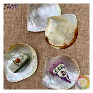 Assiette décorative en coquillages naturels avec finition irisée pour les pièces de style côtier et la décoration de table - Product Image 6