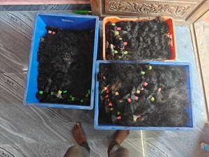 Paquetes de Cabello Vietnamita al por Mayor, 100% Natural, Ondulado, Humano Virgen, Cutícula Alineada, Listo para Permanente, Todos los Colores, Doble Trama a Máquina - Product Image 2