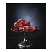 Fournisseur en gros de filets de bœuf surgelés de qualité supérieure, exportation en vrac de steaks de bœuf pour les acheteurs et importateurs B2B mondiaux