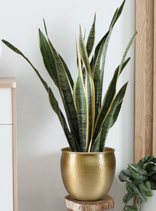 Jardinière en laiton d'inspiration vintage, plantes d'intérieur élégantes pour décor de jardin, design rond et élégant pour motif carré de salon - Product Image 3