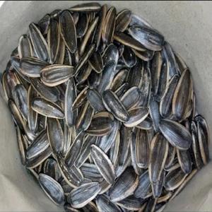 เมล็ดทานตะวันดิบคุณภาพสูง เกรดพรีเมียม ขายส่งเมล็ดทานตะวันราคาถูก คุณภาพสูง - Product Image 2