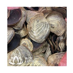 DISPONIBLE Extracto de Fragancia de Operculum de Murex Puro Ecológico, Material para Incienso, Suministro para Exportación - Product Image 1